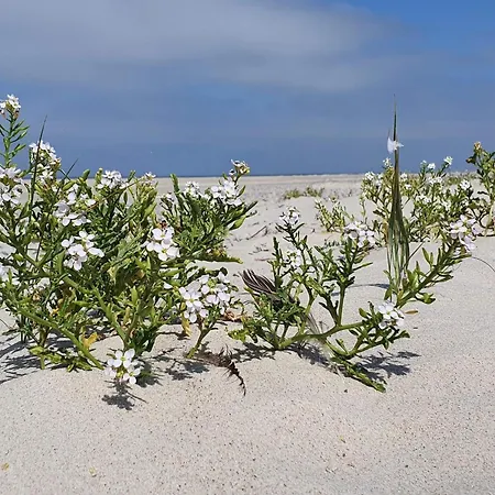 Ferienhaus 6 Person In Norre Nebel-by Traum