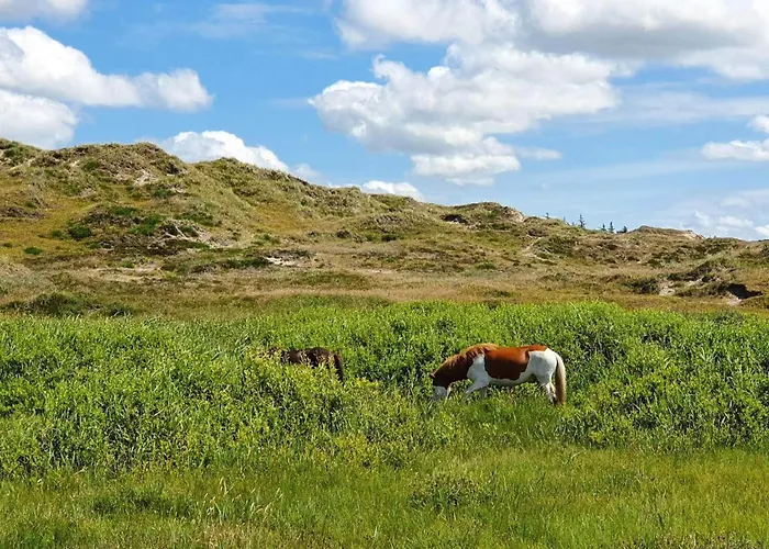 6 Person In Norre Nebel-by Traum Feriehus *